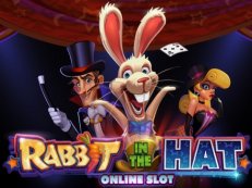 rabbit in the hat