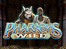pharaohs wild