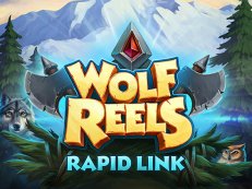 Wolf Reels Rapid Link