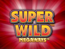 Super Wild Megaways gokkast
