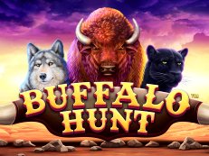 Buffalo Hunt gokkast